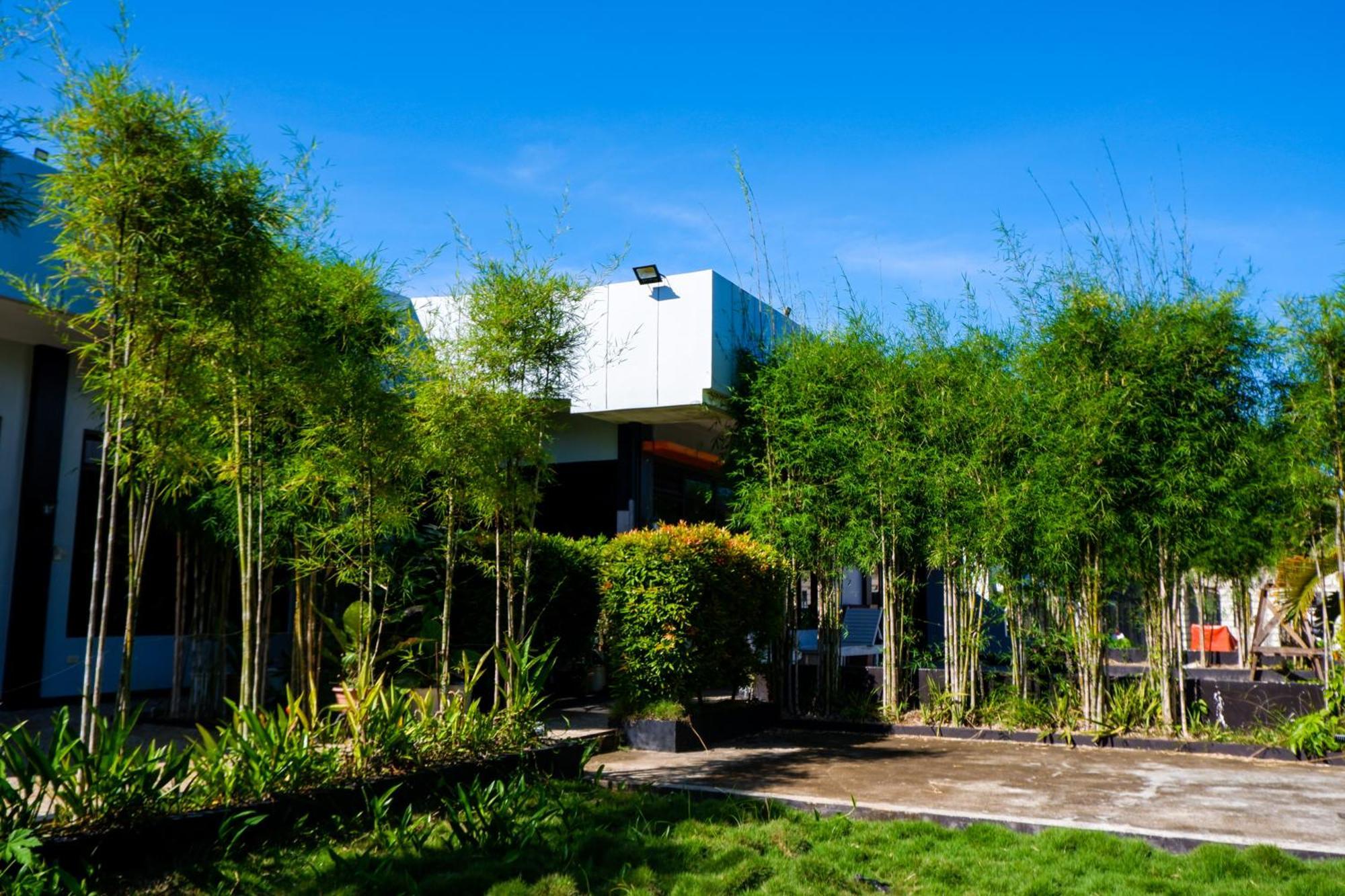 Casi Verde Guest House Panglao Eksteriør billede